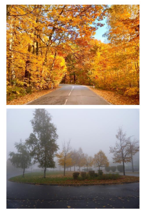zdjęcia przedstawiające jesień jako porę roku
