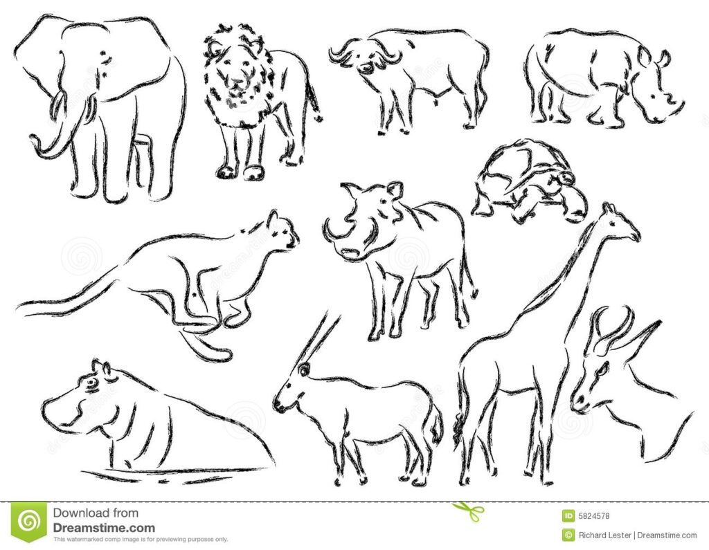 grafika zwierzęta w Afryce