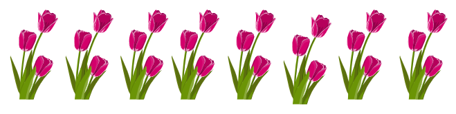 grafika tulipany