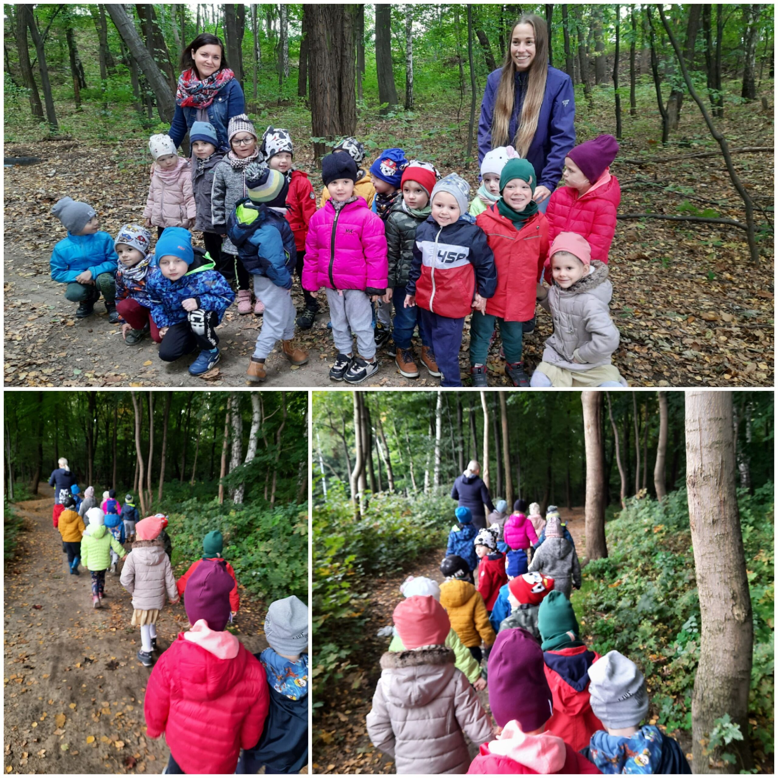 kolaż zdjęć dzieci podczas spaceru do lasu