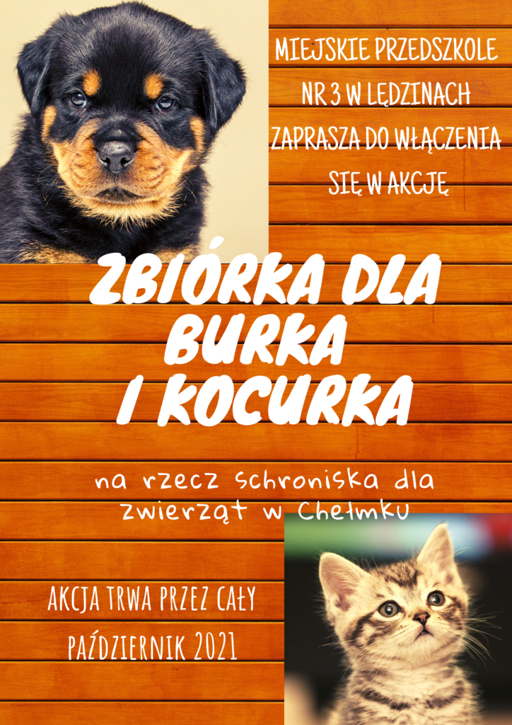 plakat informacyjny o akcji dla schroniska dla zwierząt